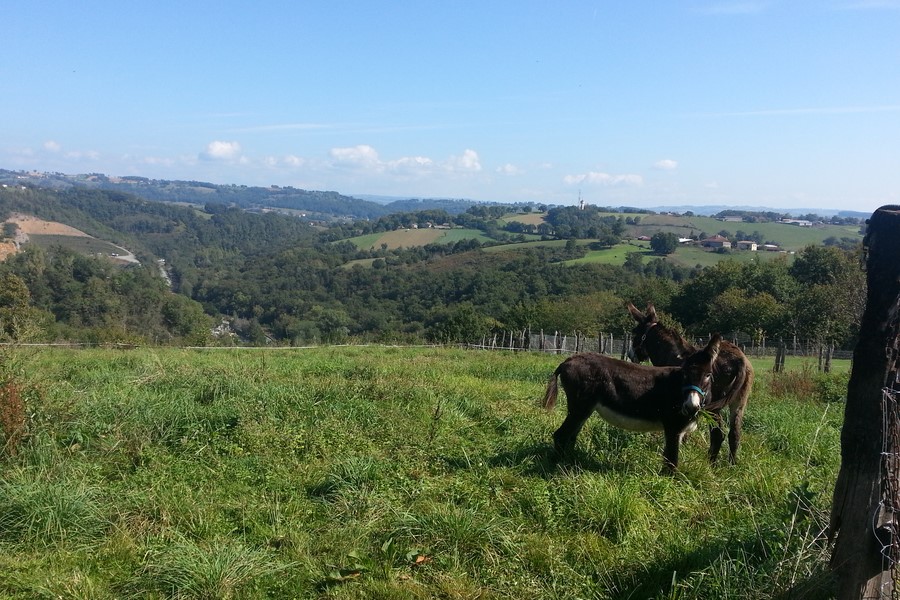 20141004_125320.jpg