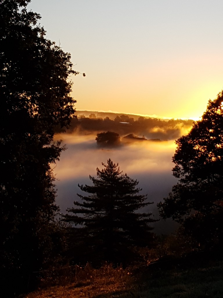 brume matinale