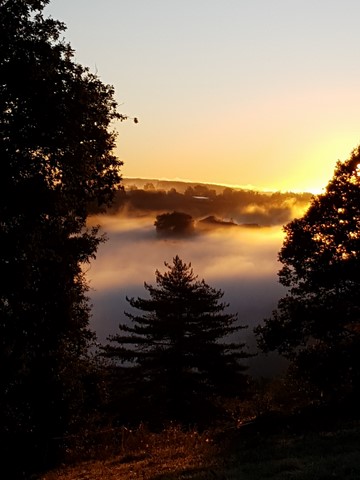 brume matinale