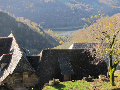 Vinzelle
